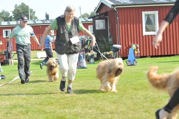 Championtikarna in action